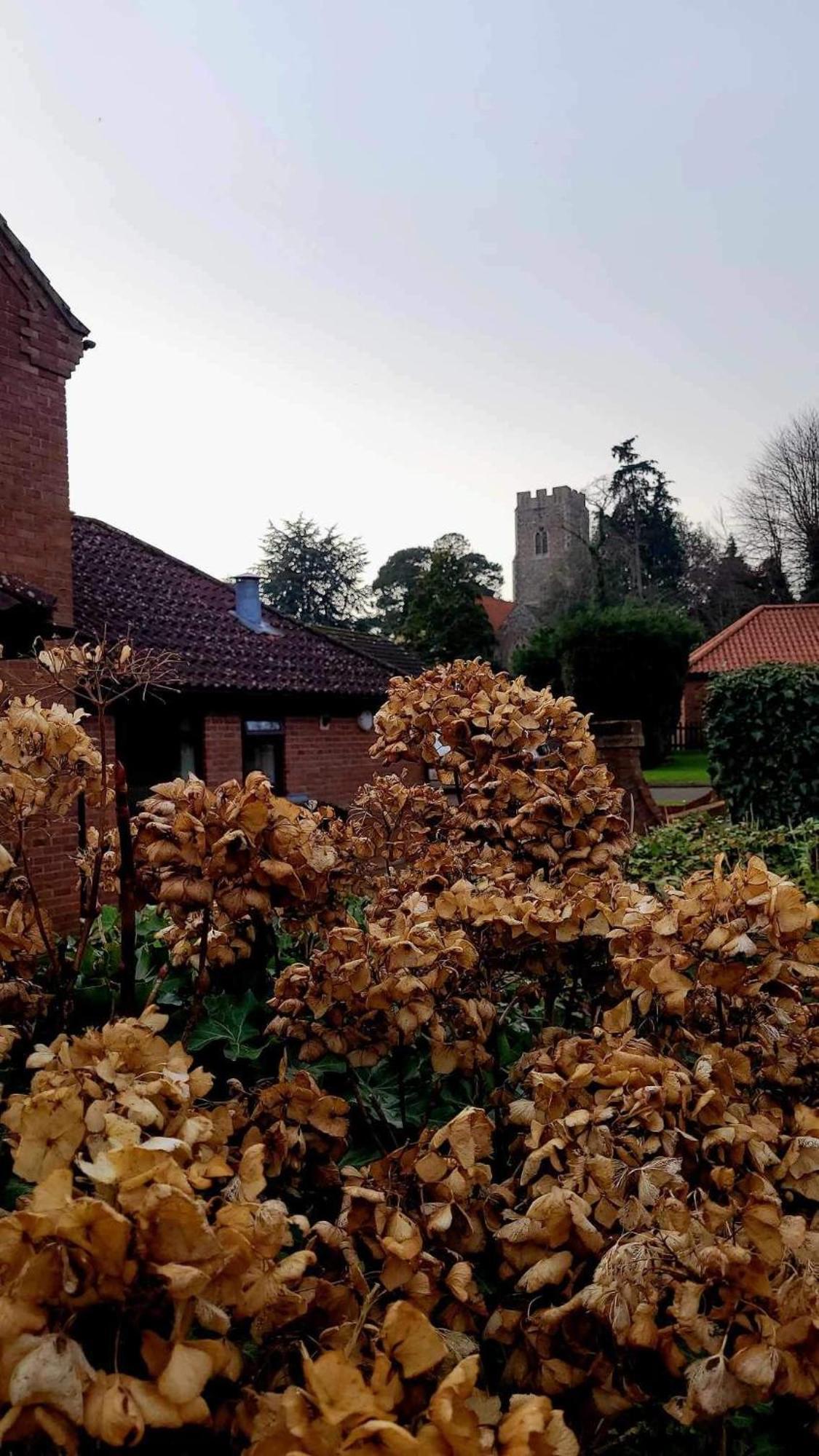 Church Farm Guest House Horsford Buitenkant foto